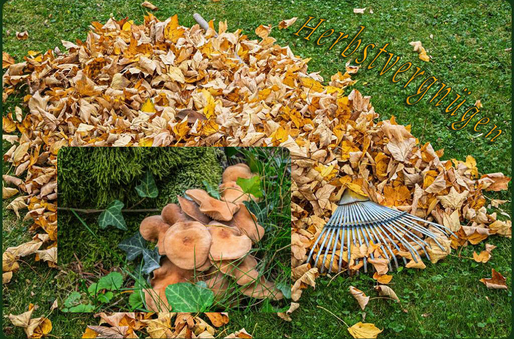 „Nur Natur“#30 – immer am Donnerstag