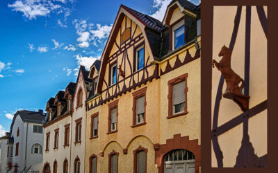 Ein Pferd am Haus & vorläufige Reiher-Entwarnung