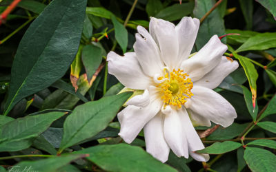 Durchsetzungsvermögen!