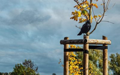 Mein 12tel-Blick im Oktober