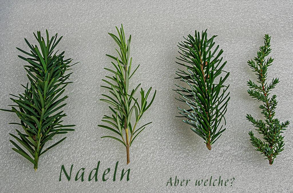 Nadelspiel für Elfi