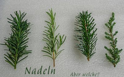 Nadelspiel für Elfi