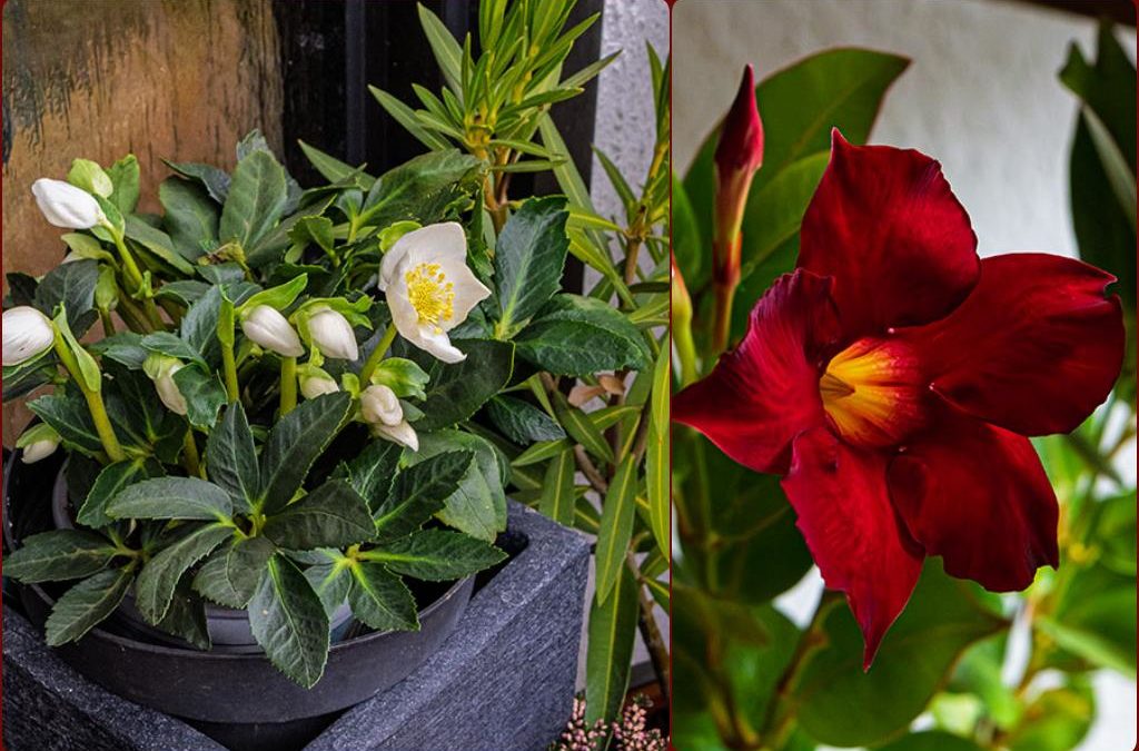 Von Frustkäufen, Stricknadeln & kalten Füßen