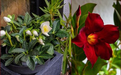 Von Frustkäufen, Stricknadeln & kalten Füßen