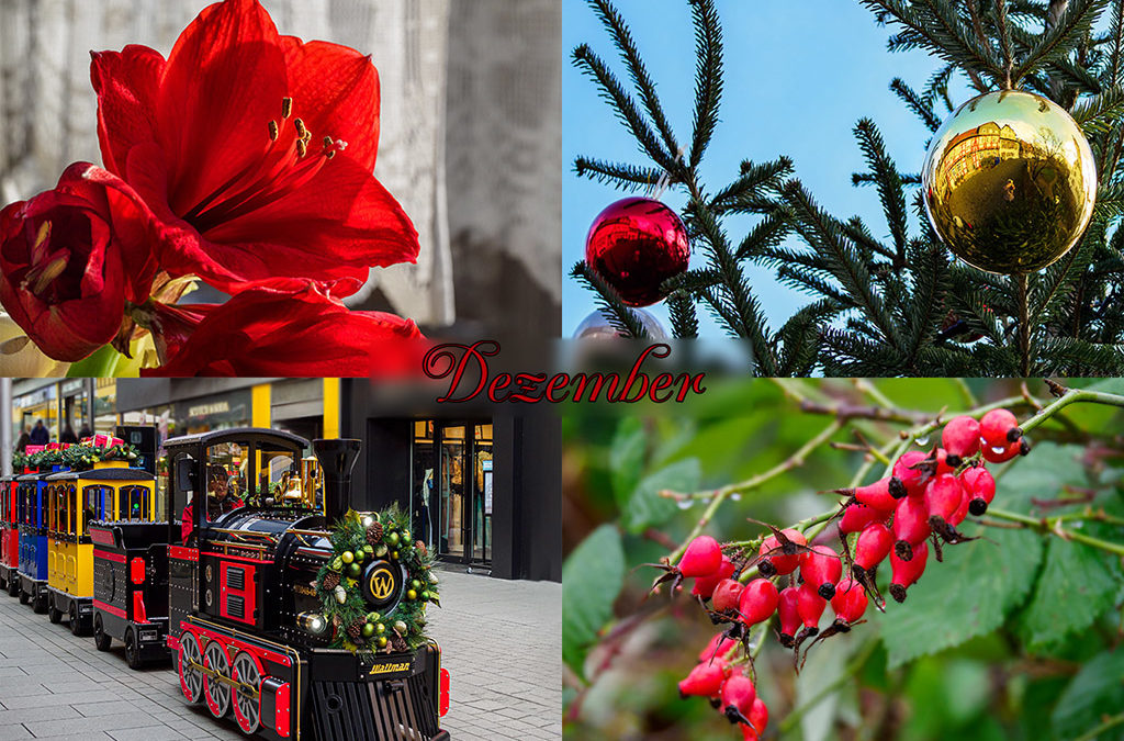 Endspurt . . . Schon Dezember!