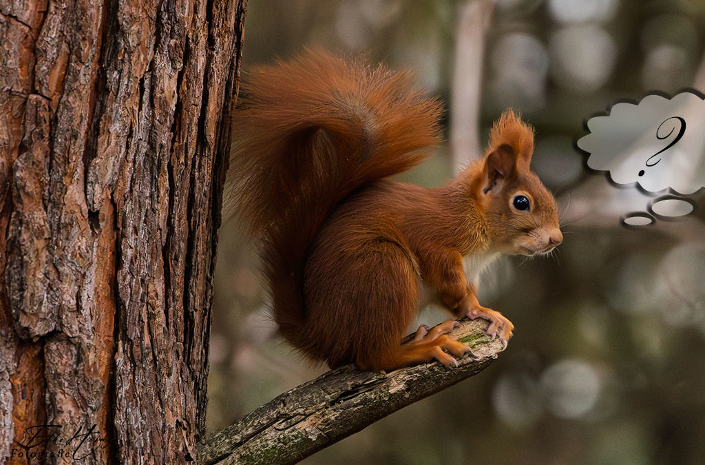 Grau und absolut nix los