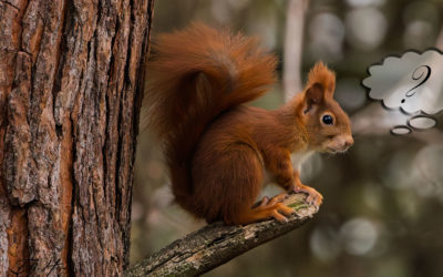 Grau und absolut nix los