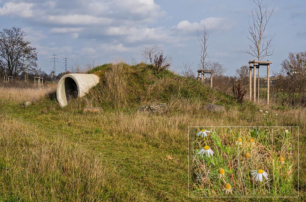 Mein 12tel-Blick im November