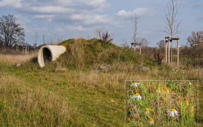 Mein 12tel-Blick im November