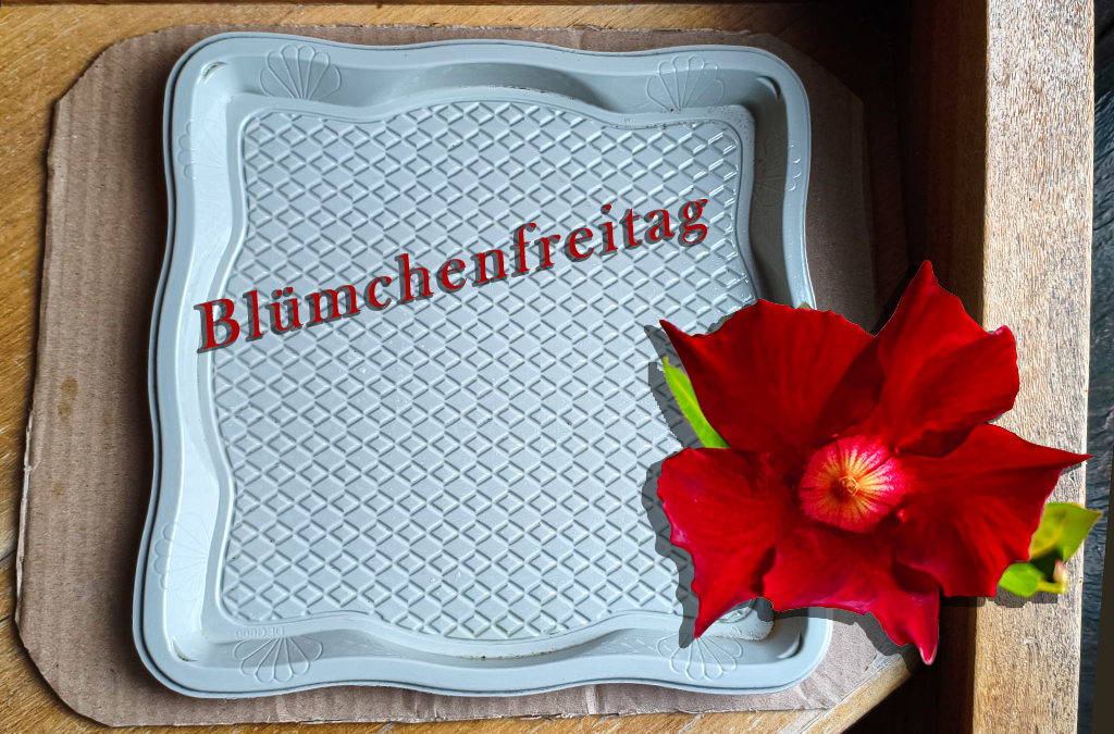 Spontanrecycling und nie der richtige Topf