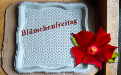 Spontanrecycling und nie der richtige Topf