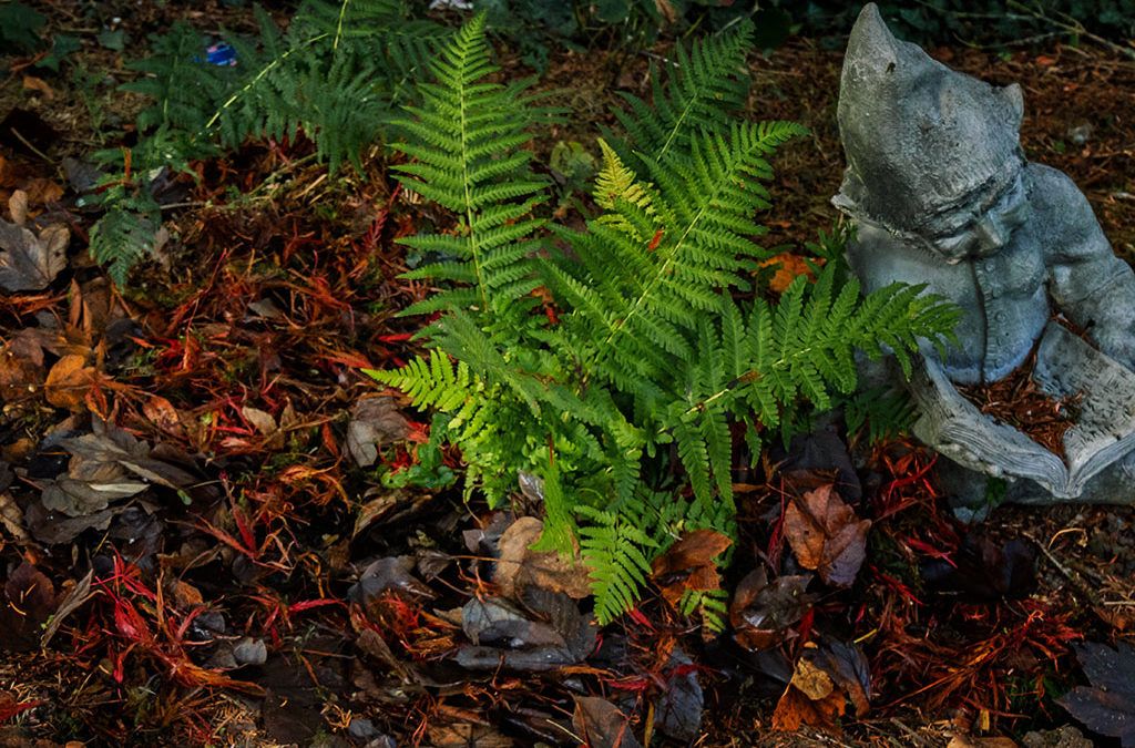 Aktives Wärmemanagement *zwinker*