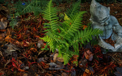 Aktives Wärmemanagement *zwinker*