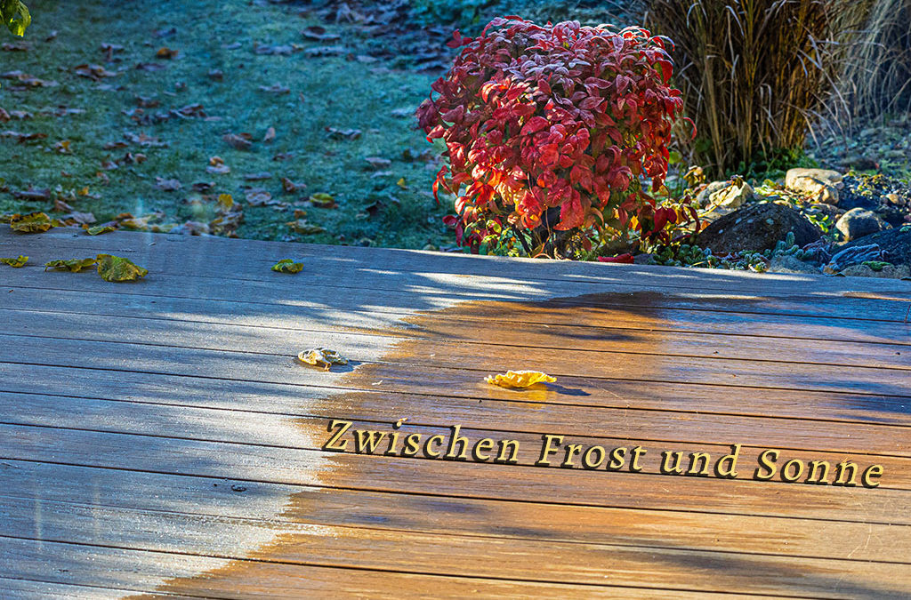 What a beautiful day