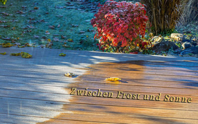 What a beautiful day