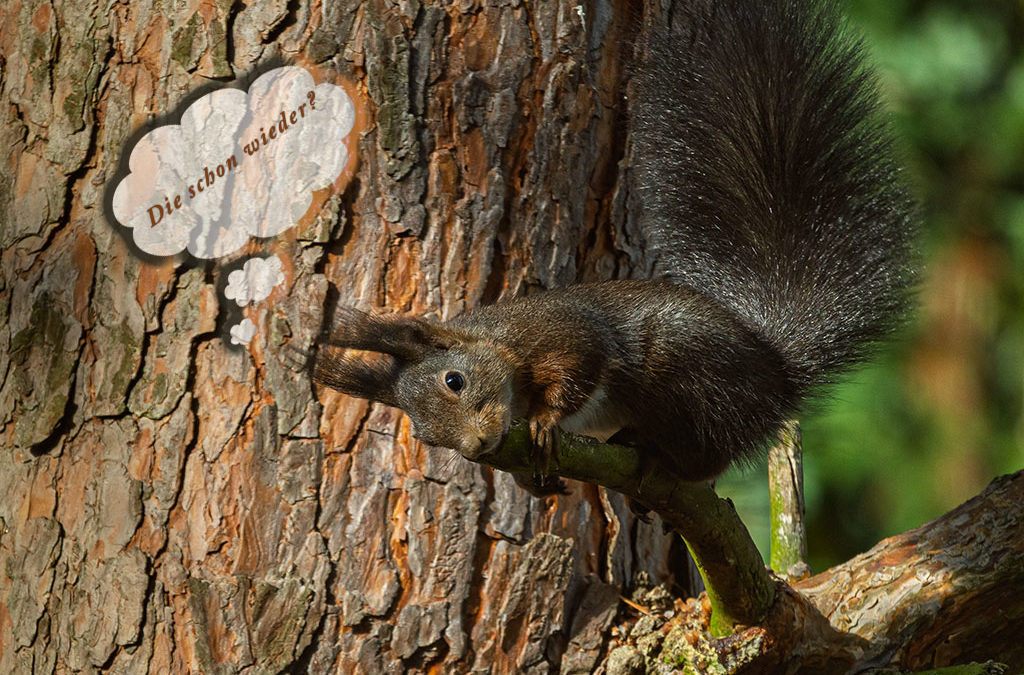 Zwischen Sonne, Regen, Wind & Hagel . . . alles dabei.