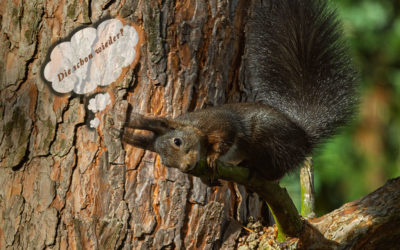 Zwischen Sonne, Regen, Wind & Hagel . . . alles dabei.