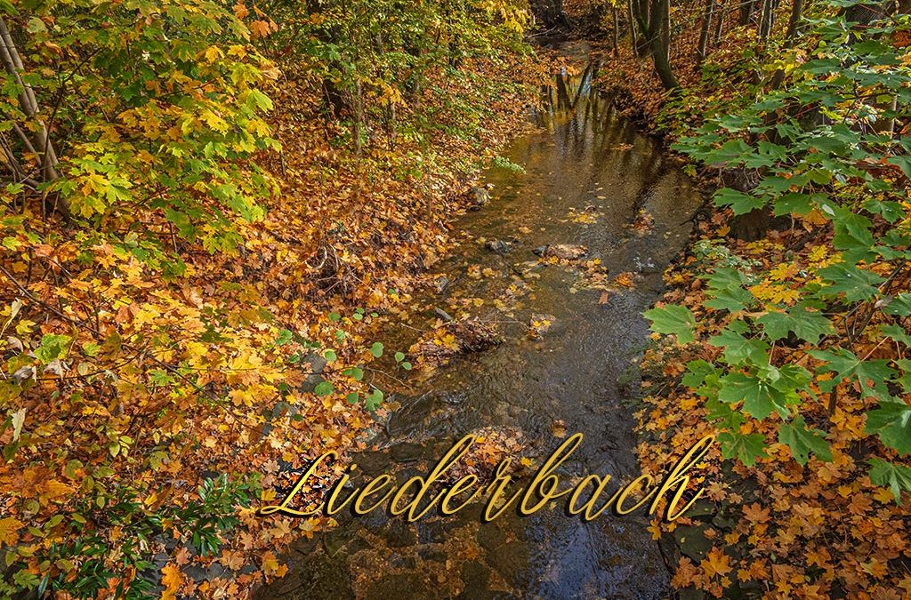 „Nur Natur“#34 – immer am Donnerstag