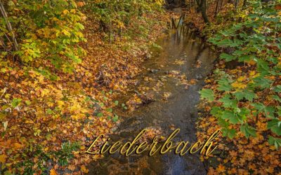 „Nur Natur“#34 – immer am Donnerstag