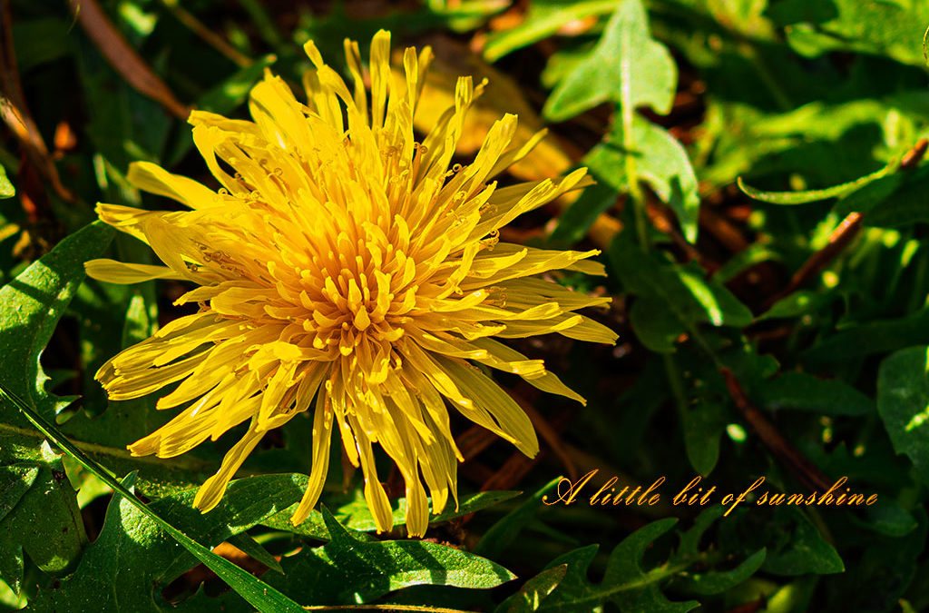 Kontrastprogramm – Heute keine Kerzen ;-)