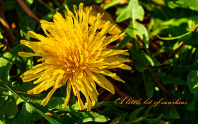 Kontrastprogramm – Heute keine Kerzen ;-)