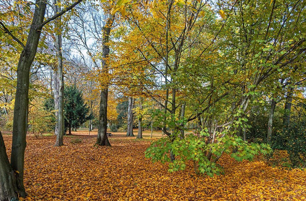 Ein Lob dem Wettergott ♥ !