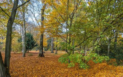 Ein Lob dem Wettergott ♥ !