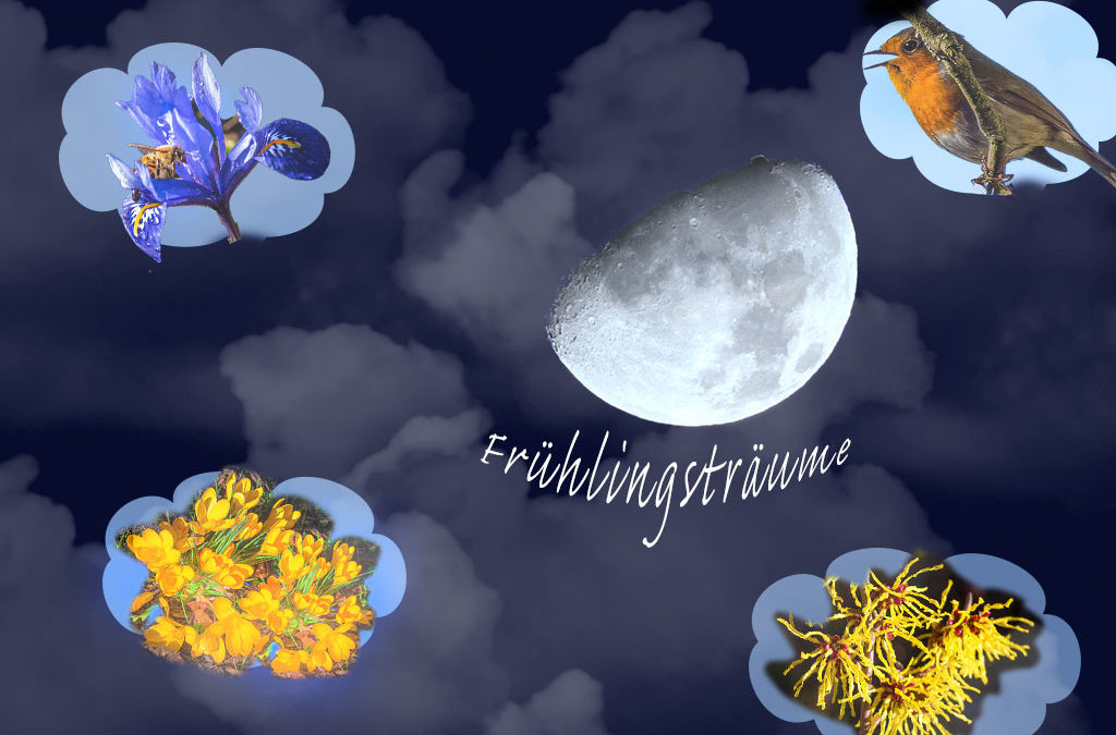 Regen statt weiterhin Garten-Rausch