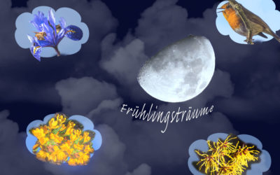 Regen statt weiterhin Garten-Rausch