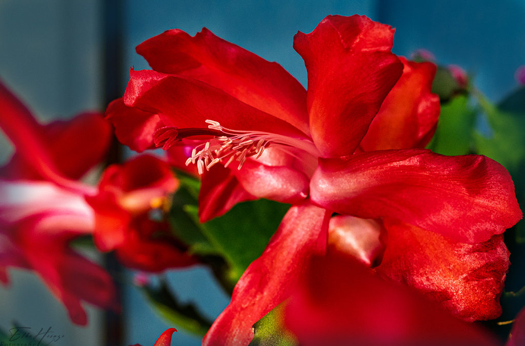 „Nur Natur“#35 – immer am Donnerstag