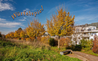 6-1-3-4 = 14 oder ein Wort mit „N“