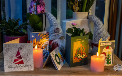 Detektivischer Spürsinn . . .