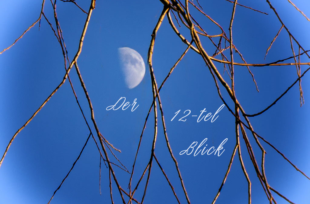 Mein 12tel-Blick im Dezember & Spaziergang