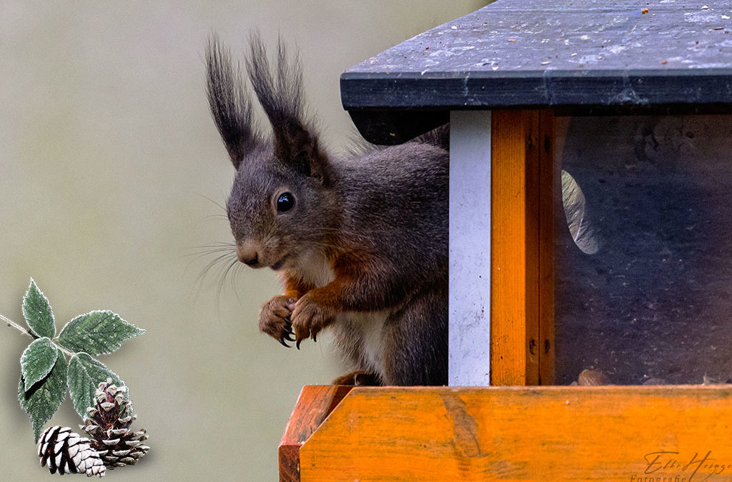 3. Advent – auch nur finster