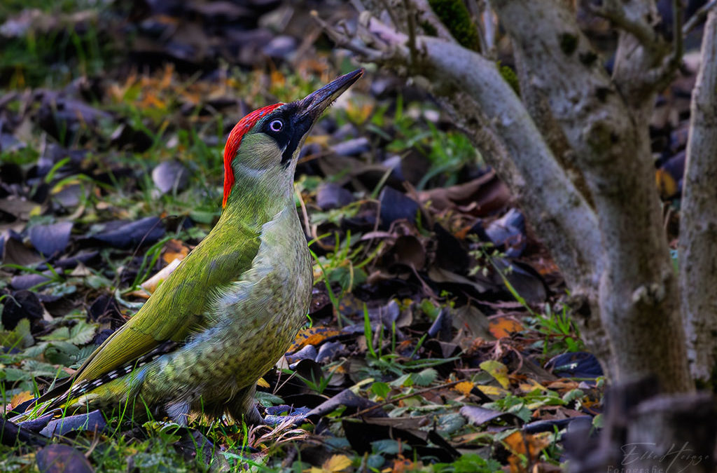 Kalt, sonnig & eine neue Erkenntnis