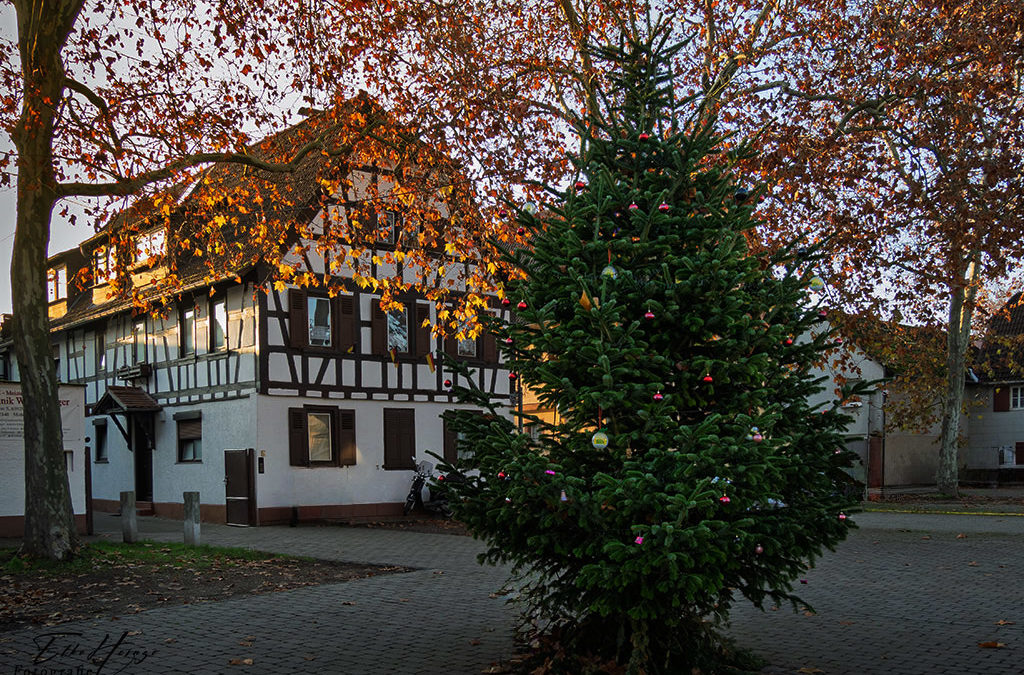 Ein bisschen Frieden, ein bisschen Sonne . . .