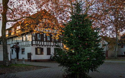 Ein bisschen Frieden, ein bisschen Sonne . . .