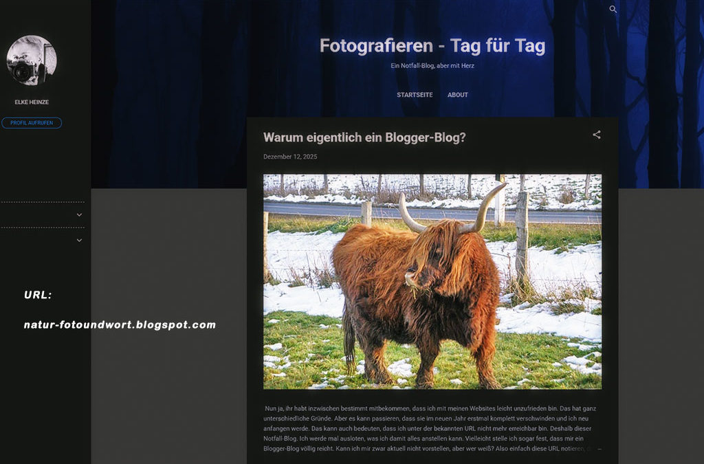 Ein Notfall-Blog & Weihnachtspost