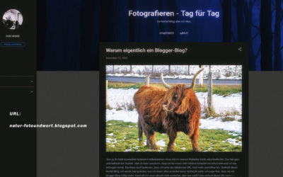 Ein Notfall-Blog & Weihnachtspost