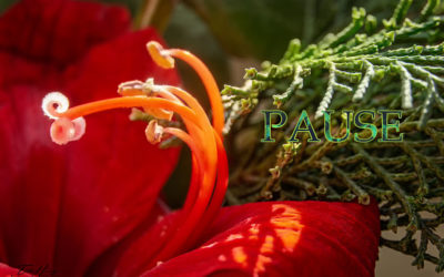 Es muss sich etwas ändern