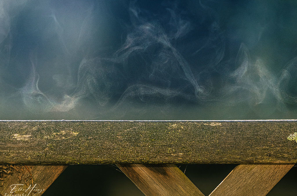 Der 22. Buchstabe im Alphabet ist : das V(au) – au!